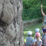 capture-vlc2017-07-30-16h01m30s813