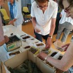 img_20190705_134724-1149×1536-150×150